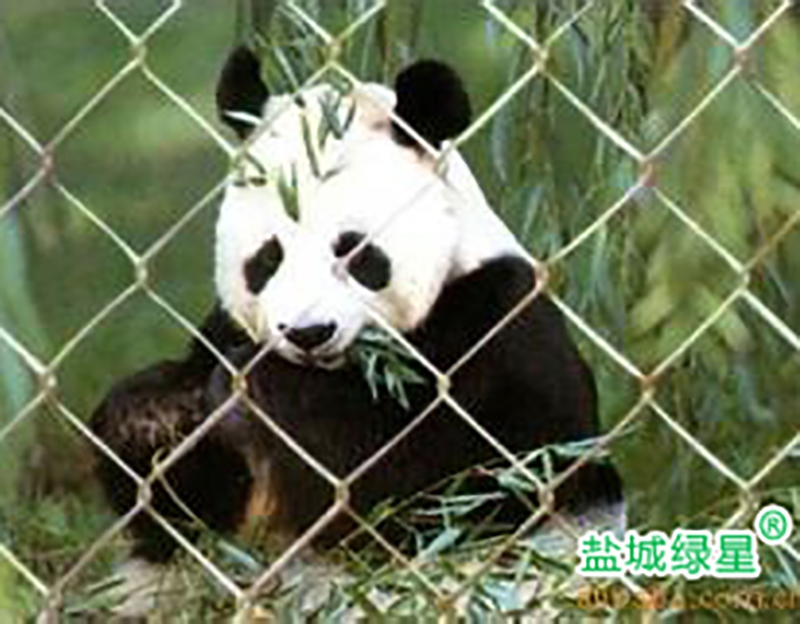 寶雞動物園圍網(wǎng)